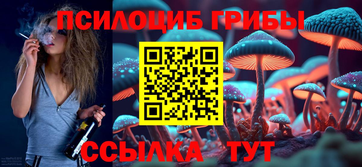как найти закладки  Вход с VPN  Луховицы  Псилоцибиновые грибы Cubensis 