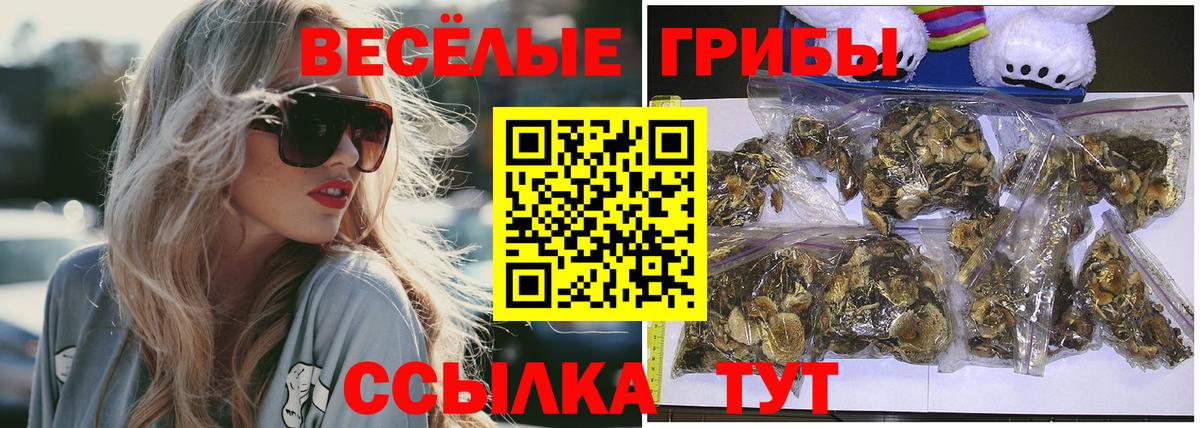Псилоцибиновые грибы MAGIC MUSHROOMS Луховицы